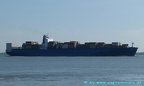 anguila 10