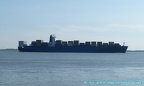 anguila 11