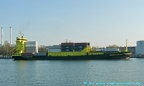 borussia dortmund 24