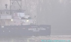 bremer victoria 10