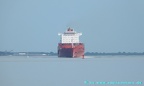 cap hamilton 22
