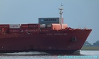 cap hamilton 30