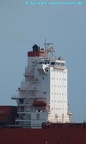 cap hamilton 31