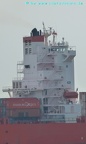 cap hamilton 36