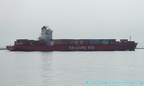 cap hamilton 37
