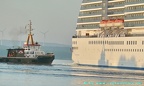 costa mediterranea 43