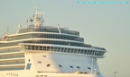 costa mediterranea 50