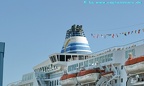 delphin voyager 19