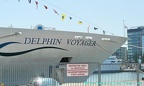 delphin voyager 24