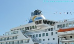 delphin voyager 25
