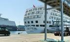 delphin voyager 29