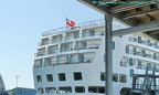 delphin voyager 31