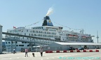 delphin voyager 33