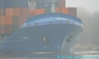 el toro 4