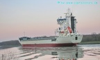 finex 19