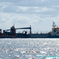 ham 316 12