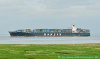 hanjin malta 12