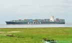 hanjin malta 17