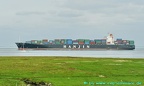 hanjin malta 16