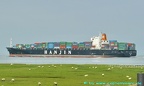 hanjin malta 20