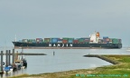hanjin malta 19