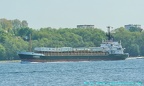 harrix 1
