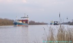 marja 29