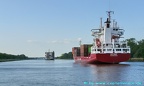 nyland 10