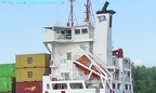 nyland 8