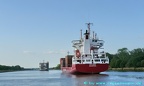 nyland 11