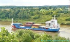 nyland 20