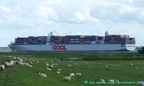 oocl bangkok 19