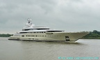 pelorus 25