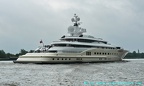 pelorus 29