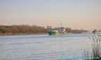 pinta 1