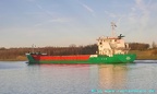 pinta 11