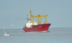 pioneer belorussi 1