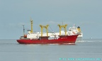 pioneer belorussi 6