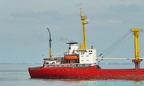 pioneer belorussi 11