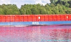 rms buchholz 6