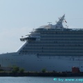 royal princess 16