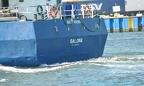 salona 12