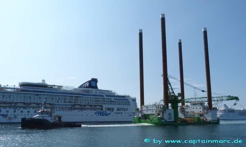 sea alfa   goliath 7