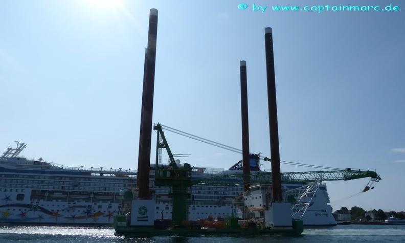 sea alfa   goliath 12