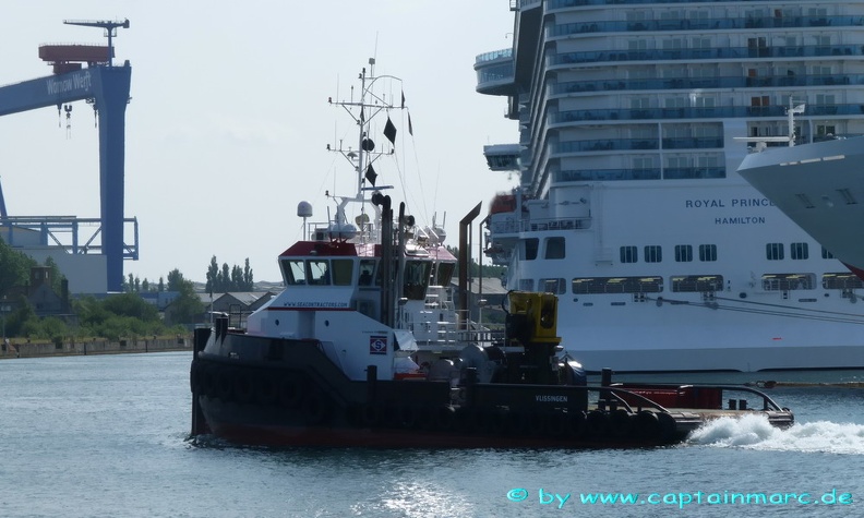 sea alfa   goliath 13