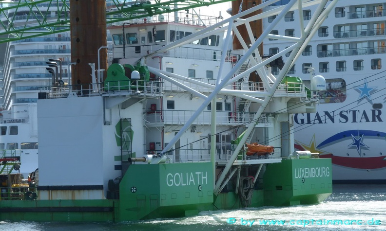 sea alfa   goliath 15