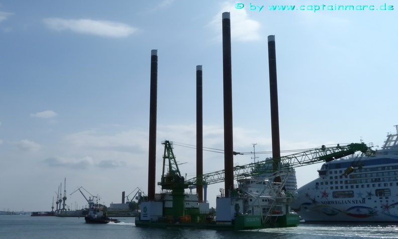 sea alfa   goliath 16