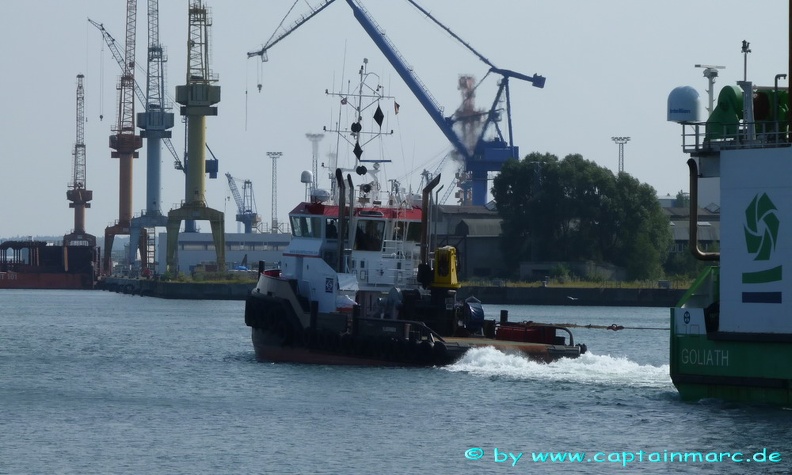 sea alfa   goliath 17