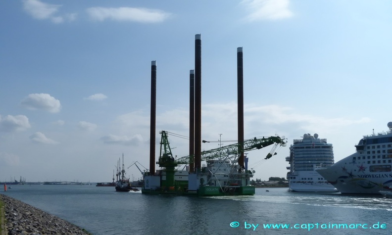 sea alfa   goliath 18