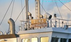 suna 8
